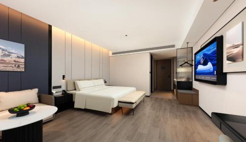 Superior King Room with City View
