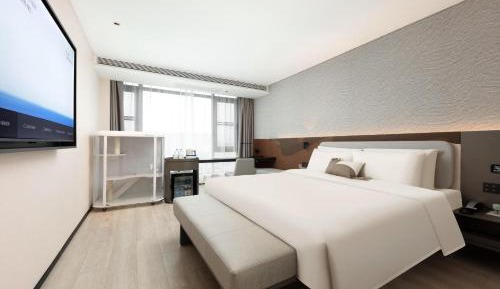 Pet-Friendly Room - Cat