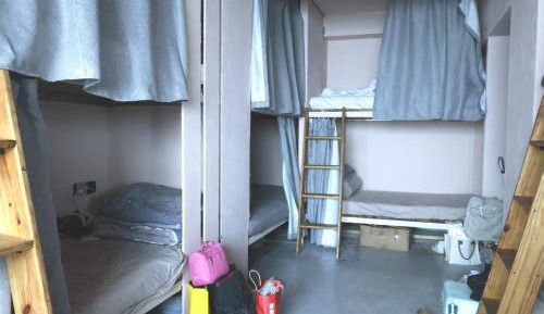Bed in 10-Bed Mixed Dormitory Room