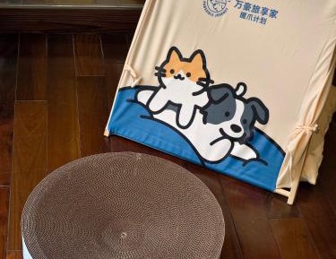 One-Bedroom Room with Club Lounge Access - Pet Friendly
