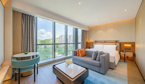 Premium King Room with City View