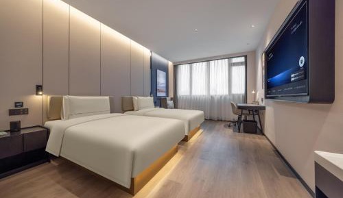 Executive Twin Room
