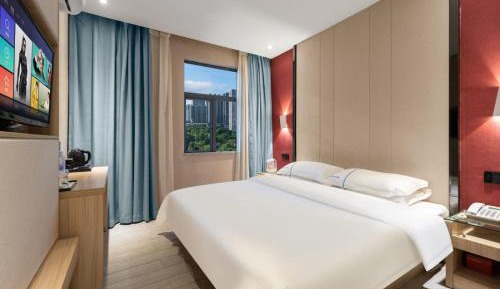 Superior Queen Room