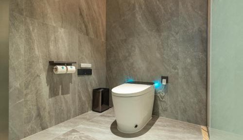 Superior Deluxe Double or Twin Room 