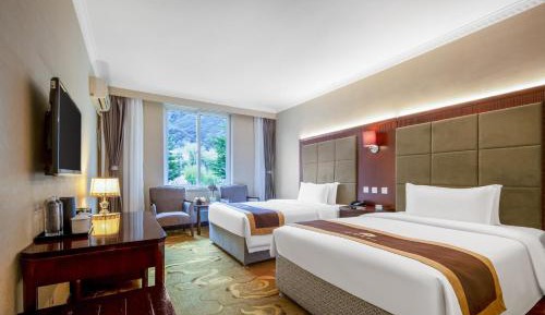 Double or Twin Room