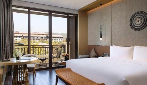 Premium Deluxe King Room with Balcony and Park View