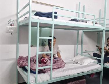 Bed in 6-Bed Female Dormitory Room