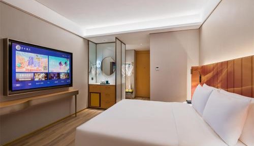 Superior Queen Room