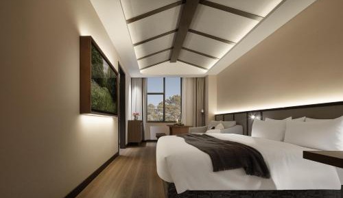 Deluxe Queen Room