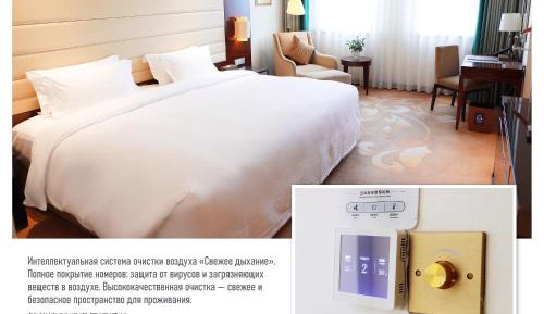 Executive Queen Room 