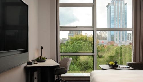 Executive Queen Room