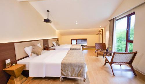 Superior Deluxe Double or Twin Room 