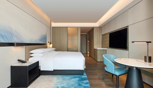 Deluxe King Suite with City View