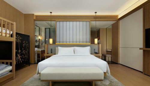Themed Family Room with One King or Double Bunk and Sofa Bed