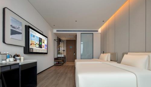 Executive Twin Room