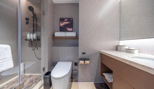 Premium King Room with City View