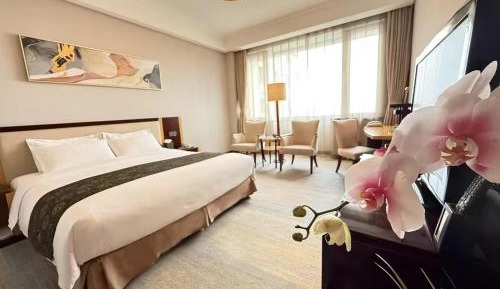 Superior Queen Room