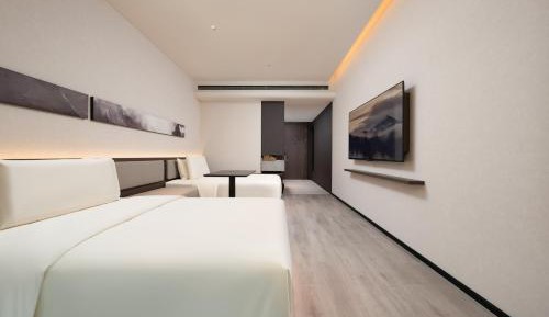 Elegant Twin Room