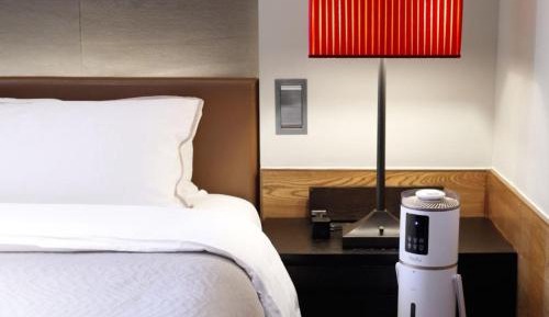 Premier Room, Guest room, 1 King