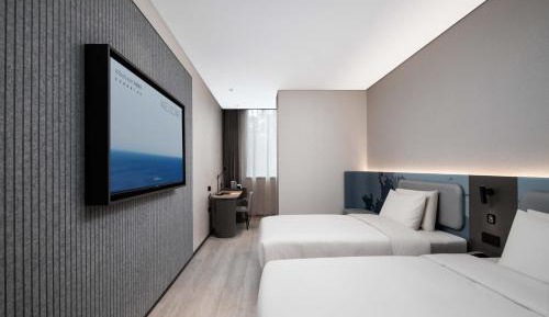 Light Twin Room