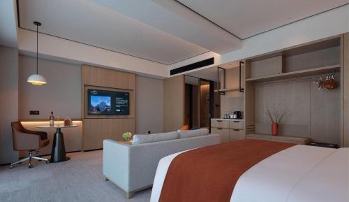 Premier King Room