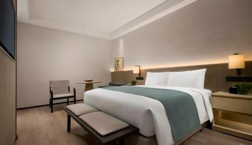 Superior Queen Room