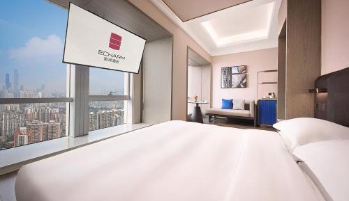 Deluxe City View Tatami Room 