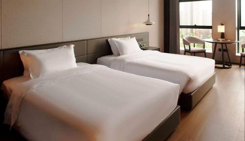Business Double Room with Two Double Beds - Non-Smoking