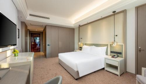 Standard King Room - Accessible