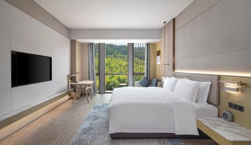 Deluxe King Room with Mountain View