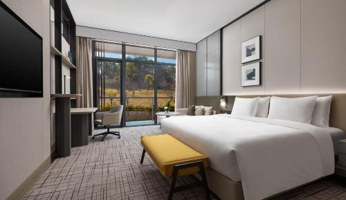 Standard King Room with Balcony
