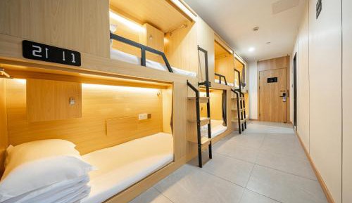Bed in 6-Bed Male Dormitory Room -  Shared Bathroom 