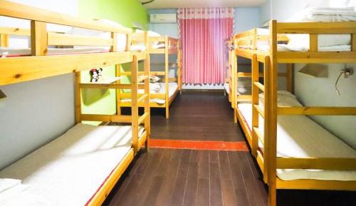 Bed in 8-Bed Dormitory Room