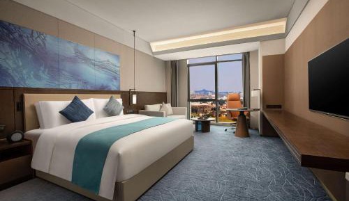 Business King Room