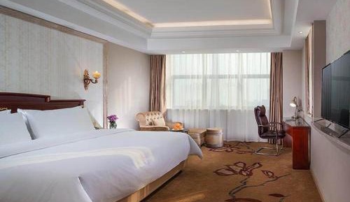 Twin Room with Audio