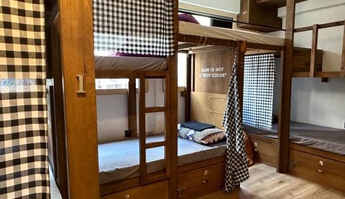 Single Bed in Female Dormitory Room