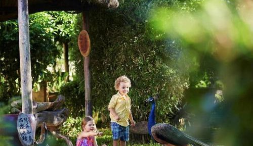 Ritz Kids Night Safari Adventures  