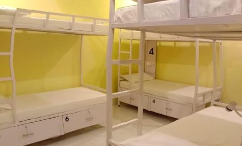 Bed in 6-Bed Mixed Dormitory Room