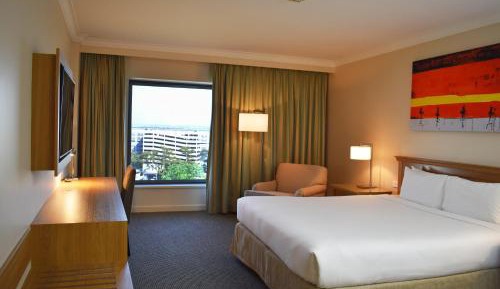 Deluxe King Room with Airport View