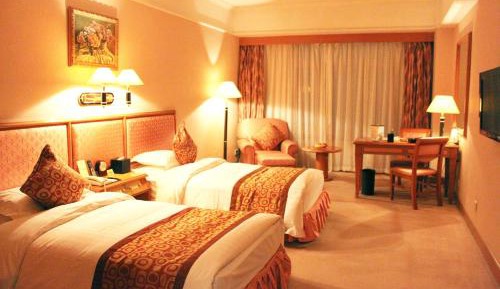 Executive Twin Room with City View