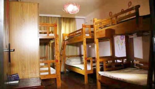 Bed in 6-Bed Dormitory Room
